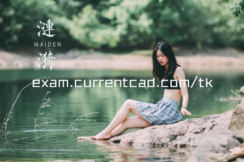 exam.currentcad.com/tk